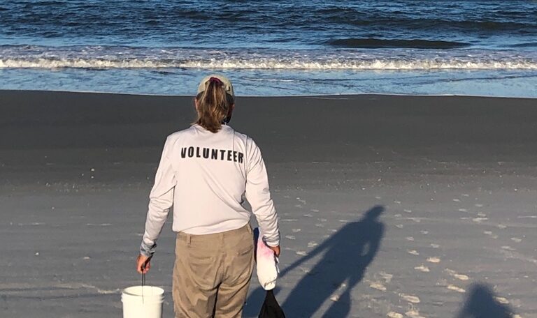 volunteer