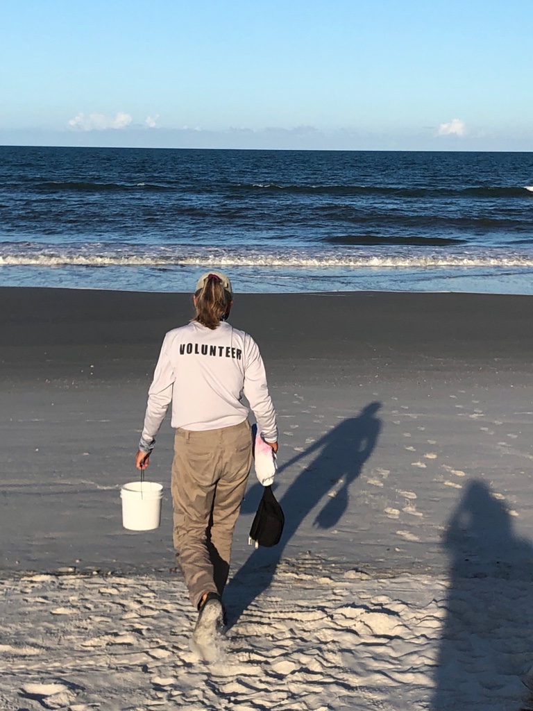 volunteer