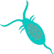 Plankton