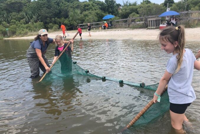 Seining