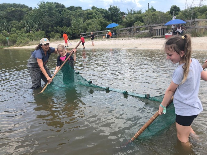 Seining