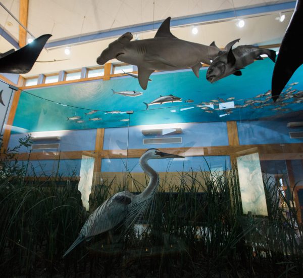 Exhibit Hall