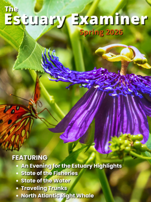 SPRING 2026 COVER