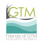 GTM Research Reserve Logo